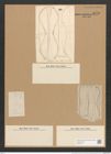Amphora arenaria Donk. (de-Toni-Nr.: Genus 36, Species 1657) Zeichnungen Sammlung Grunow Nr. 3170 (NHMW-BOT-W0370610)